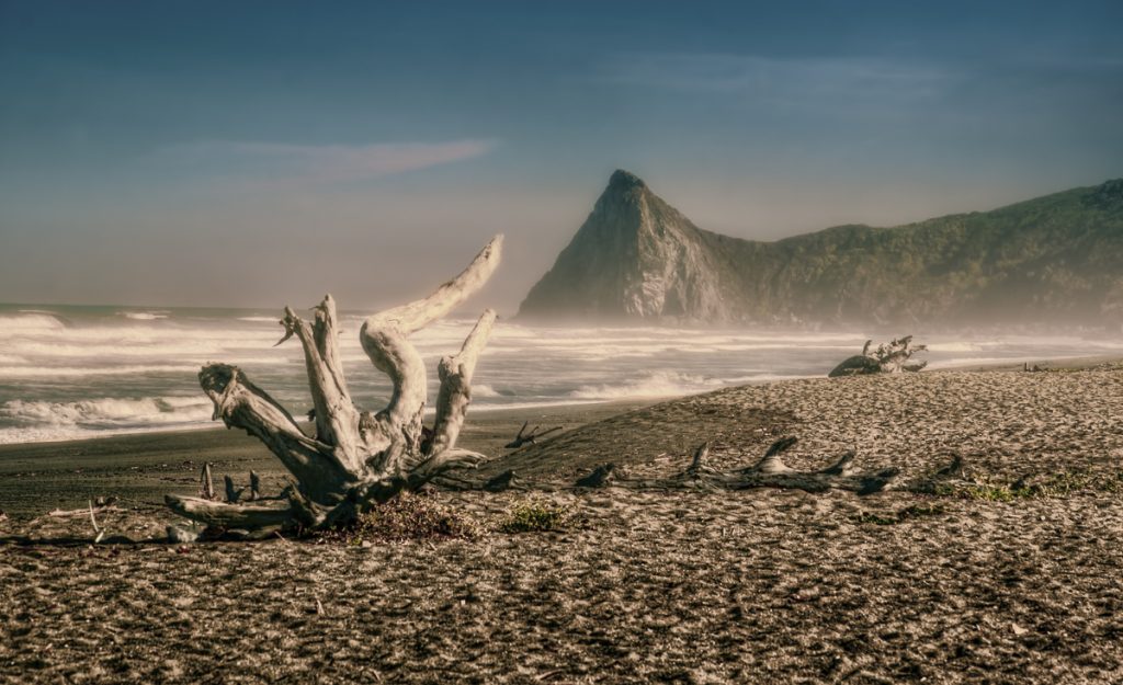Artistic, Creative Photo & Artwork, Blog Posts & eCards